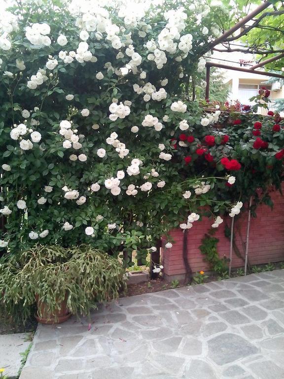 Guest House By The Captain Varna Exterior photo